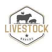 Amazing Livestock Breeds