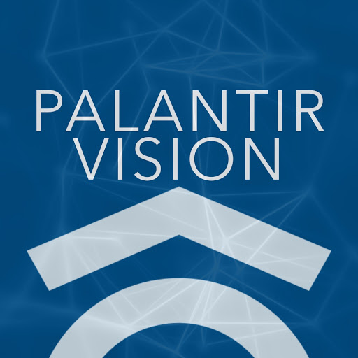 Palantir Vision