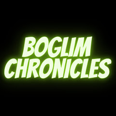 Boglim Chronicles net worth