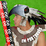 rXDQBmIqkSk-channel-avatar-Diego Saul Reyna em Português