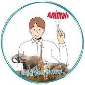 Did You Know - Animals