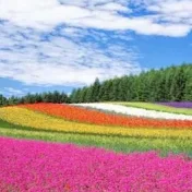 北海道ライフ