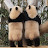 @kkangchicken