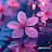 @ملكةبأخلاقها-ك2ك
