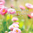 @선하랑-t2p