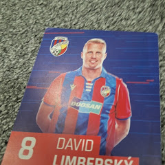 Dominik Bláha 