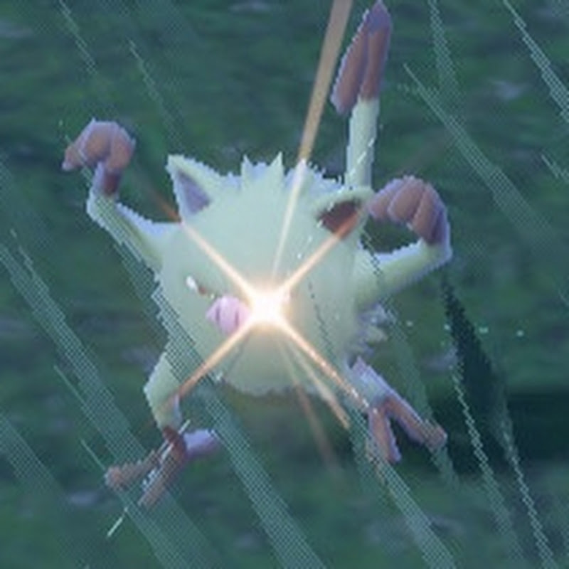 Madmankey13