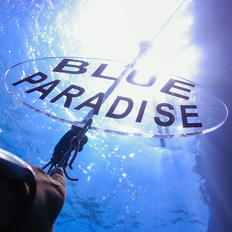 Red sea Blue Paradise Diving Center - Hurghada 