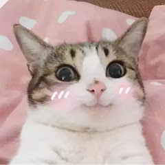 感動サプライズ朗読 