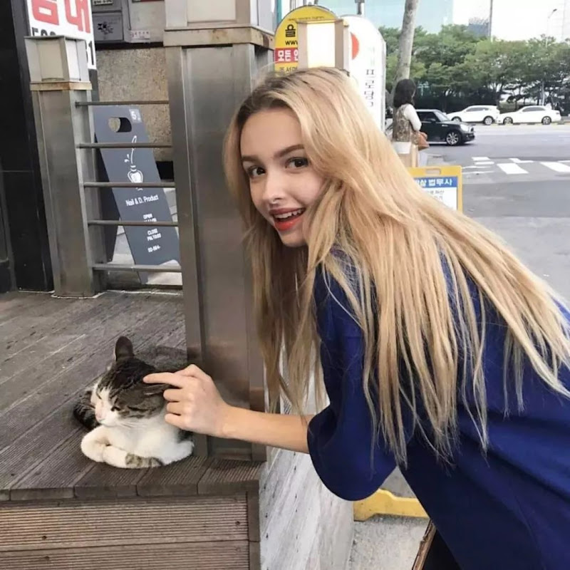 The Long Road Home (2017) | A sniper begs him to stop… then everything spirals 😳🎯