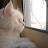 @Raghadmhmmp-ob8ij