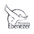 tJHMS2WtC8E-channel-avatar-Iglesia El Olam Ministerios Ebenezer