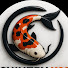 c5yU-TE6Ykw-channel-avatar-Shinzen Koi