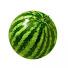 EYCRqxLYNFs-channel-avatar-gogori 고고리