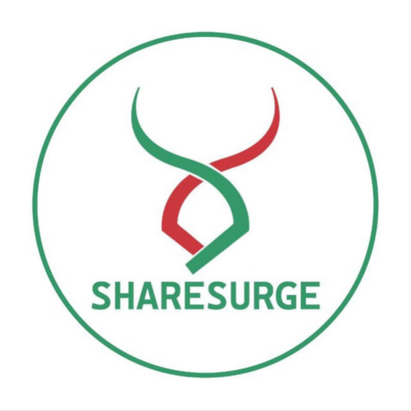 ShareSurge