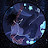 @The_w_space_yt Avatar