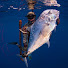 QeHsPGo0HFI-channel-avatar-Ocean Ethos
