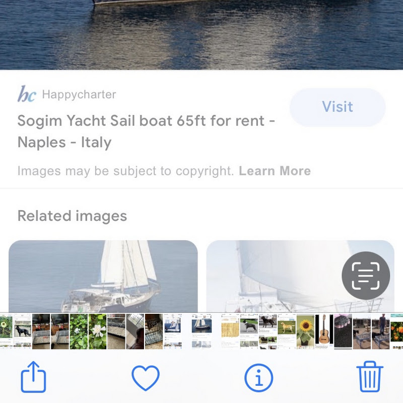 sailingemerald8829