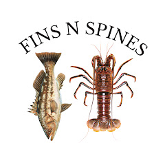 Fins N Spines