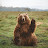 @Bigbackbearbb