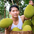 irKIJYNHG4I-channel-avatar-Mr. Tinh’s Life