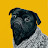 @laughatthenews4375 Avatar