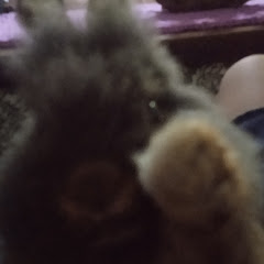 oEndo?