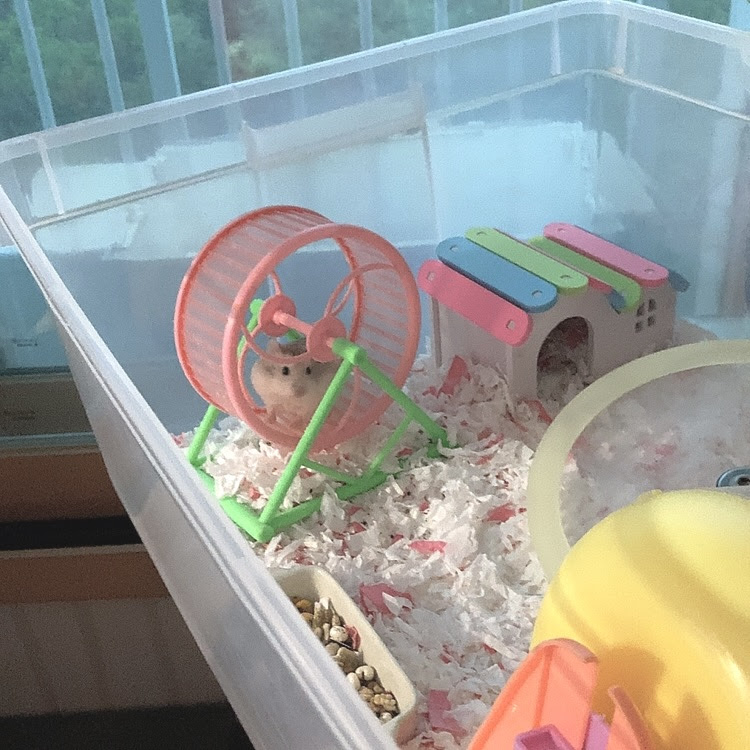 n3Tjv4LhceNs6DSIVFue5ZLHNULzSjxbfuQfKIw3ziuMuhE6GzTctL1HhM9whGtBCH_pASUkIV19wJM=s750-nd