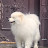 @최선우-z9o