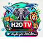 H2O MEME logo