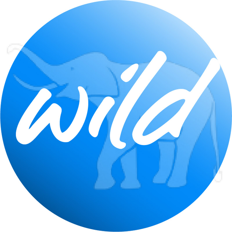 WILD FIGHTING