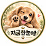 j6wk-BH80tI-channel-avatar-지금한눈에