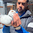 X-FBOcJn0cs-channel-avatar-Rachyq Pigeons 3