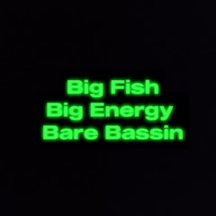 Bare Bassin