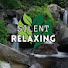 HSabt-cUA-Q-channel-avatar-SILENT RELAXING NATURE