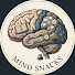 4IiYGY1JSn4-channel-avatar-MindSnacks