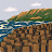 avatar of @nazmaakter-mk6er