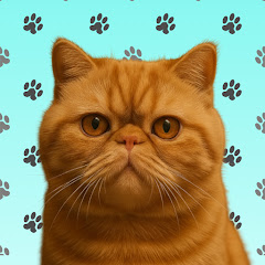 居酒屋にゃん吉