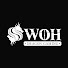 JU51OHbgSH4-channel-avatar-Swoh Dragon Gaming