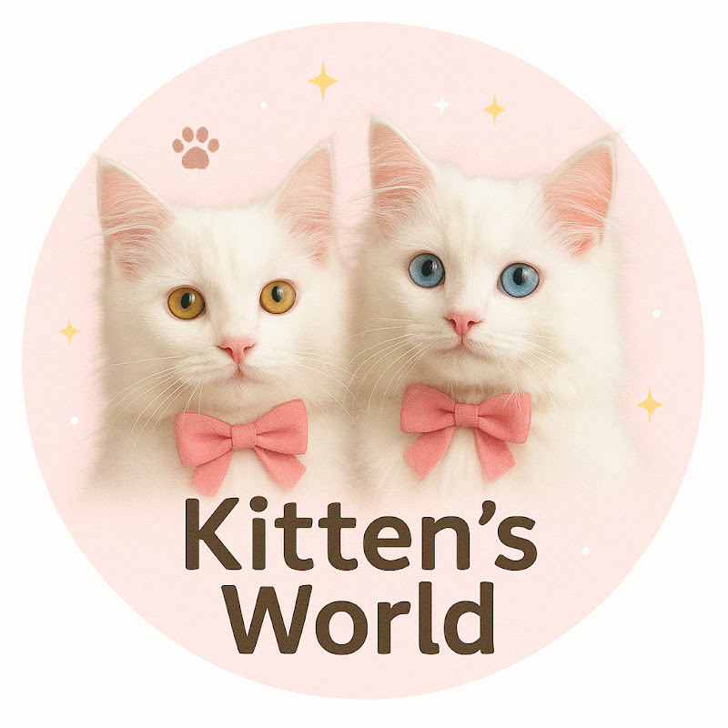 Kitten’s World