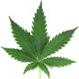 Cannabis-Filling- Systems logo