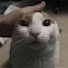 virjCt0udck-channel-avatar-fritzbees