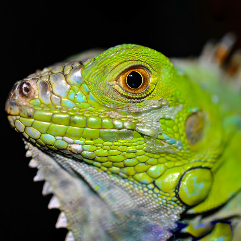 Naturaleza con Deivid