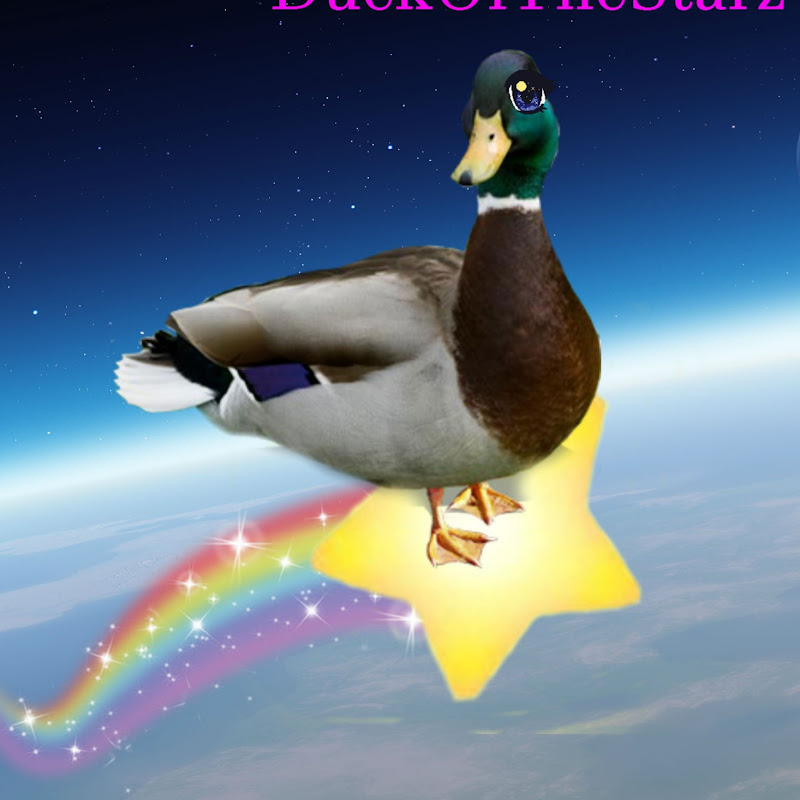 DuckOfTheStarz