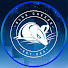 pvbvNgEBDeI-channel-avatar-Blue Cheese Esports 