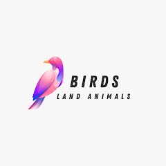 Birds Land Animals 