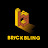 BrickBling Lighting Studio