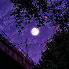 Music Of The User 經典專輯歌曲名典好聽的歌曲站アイコン画像