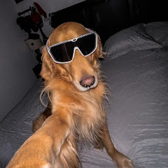 pupspaw