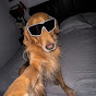 pupspaw